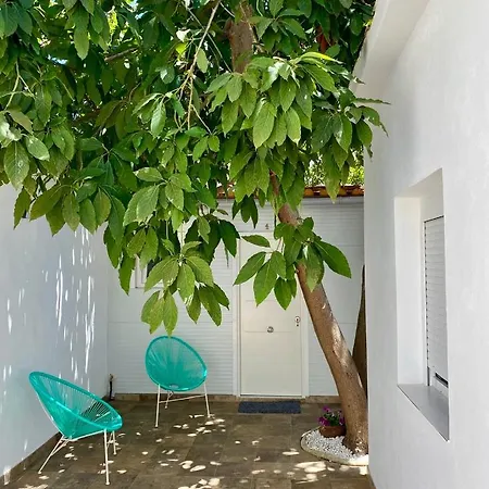 Apartment El Patio De Fran Y Elena 3 La Laguna (Tenerife)
